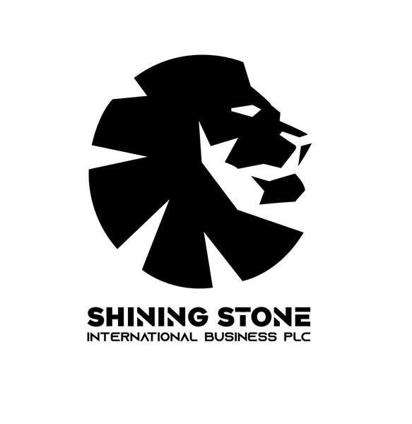 Shining Stone International